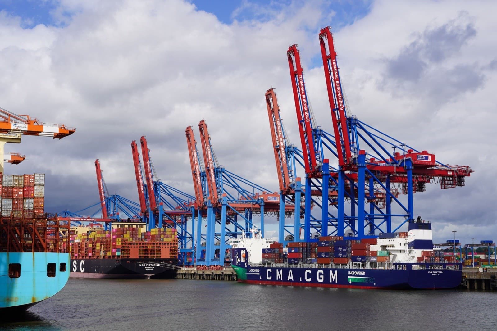 Container ships and gantry cranes at a busy commercial harbor, illustrating the harbor maintenance fee on ocean cargo